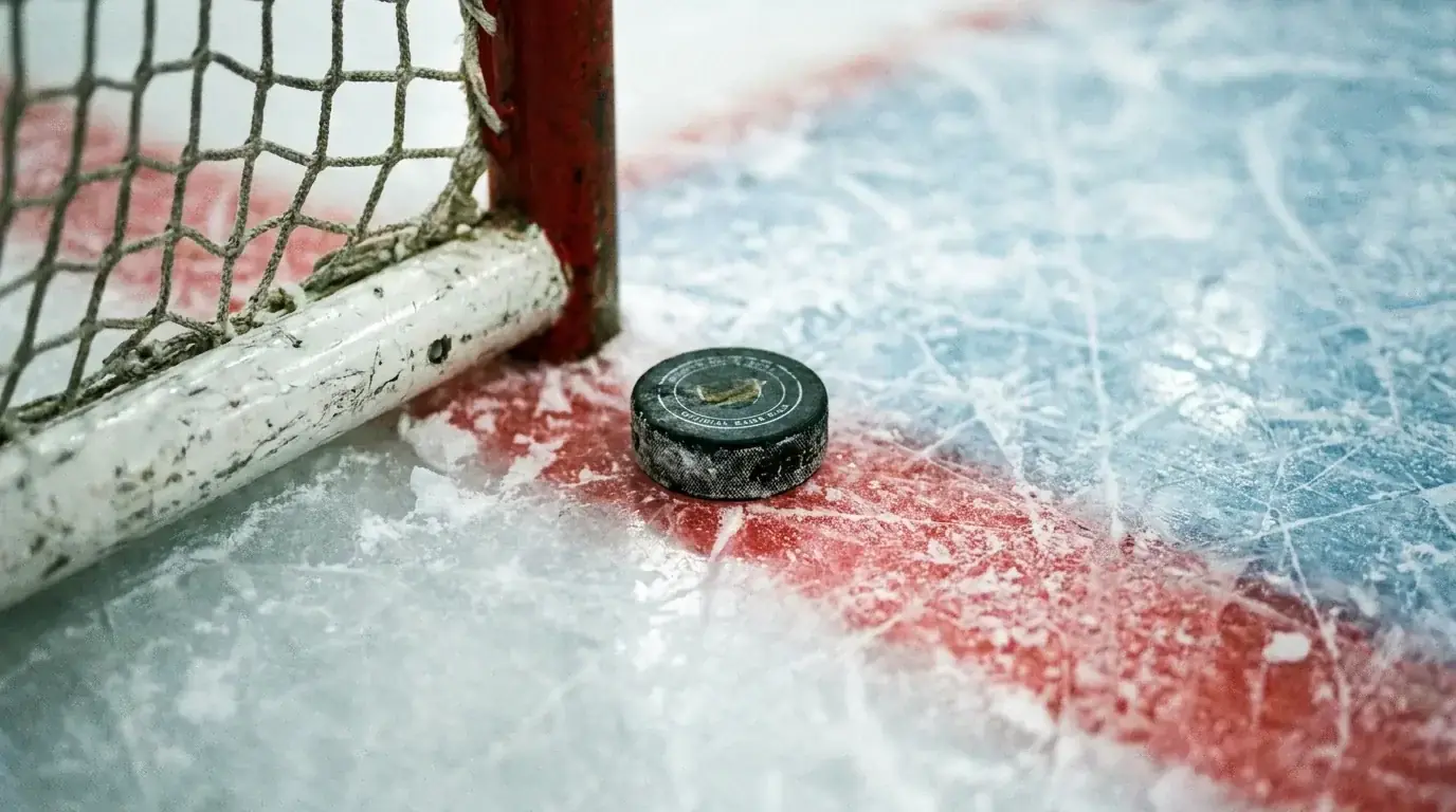 Close-up view of a puck near the NHL goal net